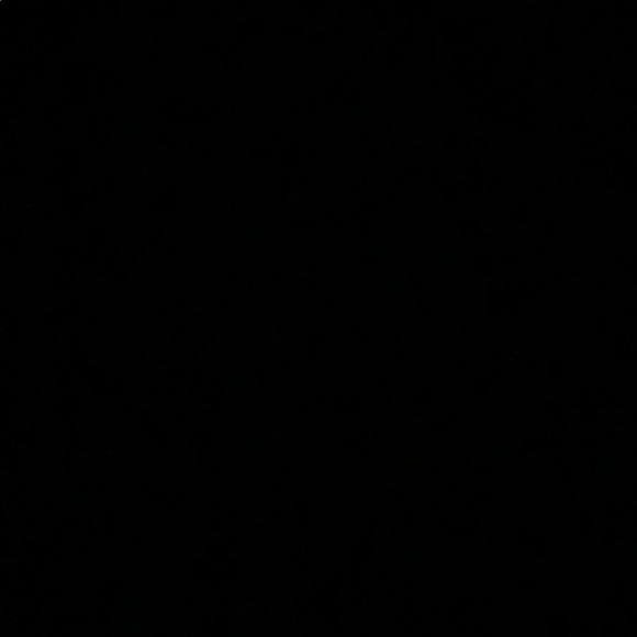 Meet your Posher, Shelby - Picture 1 of 1